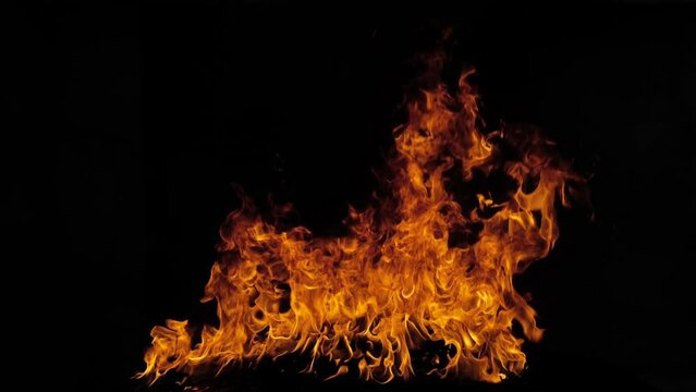 Fire flame isolate on black background. Burn abstract flames. Slow motion.