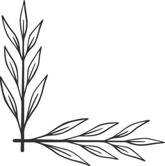 Floral Corner, plant, vintage, background, design, floral, nature, flower, summer, leaf, illustration, vector, decoration, wallpaper, spring, garden, art, botanical, pattern, texture, invitation, blos