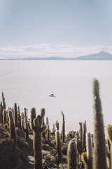 salt lake with 4x4 on it and cactus