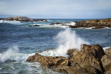 California ocean waves crashing in to beautiful golden rocks. Carmel by the Sea. Vacation nature...