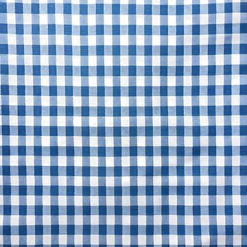 A Gingham Pattern Of Small Squares In Blue And White