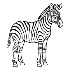 Fototapeta na wymiar zebra, cartoon, vector, for coloring