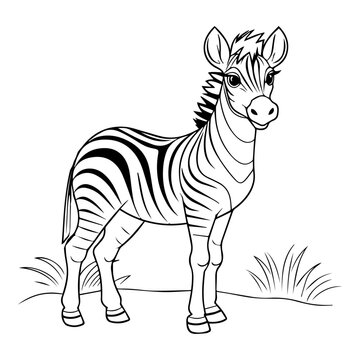 zebra, cartoon, vector, for coloring