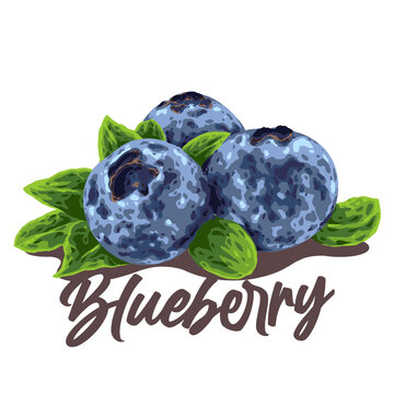 Blueberry