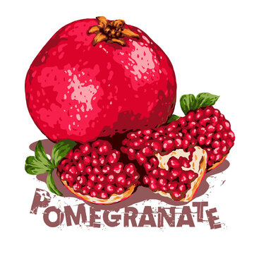 Pomegranate