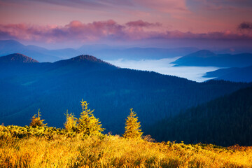 A splendid view of mountain peaks in the morning sunlight. Carpathian mountains, Ukraine, Europe.