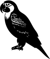 Black and white parrot vector illustration | Silhouette of a parrot | Mascot logo tattoo svg