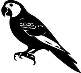 Illustration of a black and white parrot | Silhouette of a parrot | Digital art logo design 