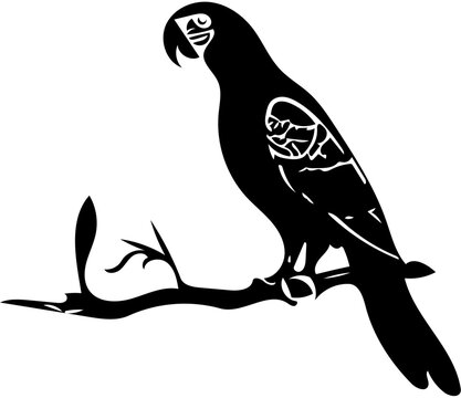 black and white parrot perched on tree branch vector illustration | Silhouette of a parrot