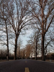 100 million pixel high-definition artwork captured by Fuji camera GFX100S camera on the highway
highway