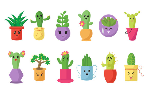cactus and succulent icon element