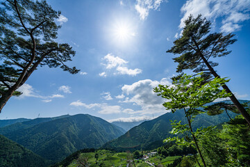 新緑の天空の茶畑と太陽