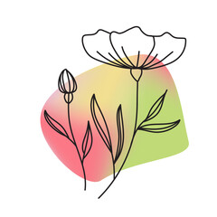 Hand drawn vector illustration of poppy flower on multicolored background.