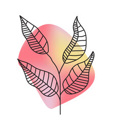 Hand drawn doodle leaves on watercolor background. Vector illustration.