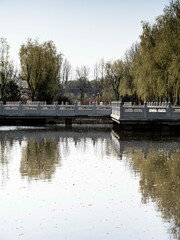 A 100 million pixel high-definition artwork park captured by Fuji camera GFX100S camera