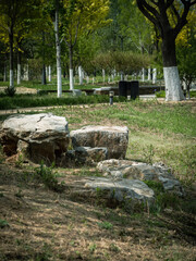 A 100 million pixel high-definition artwork park captured by Fuji camera GFX100S camera