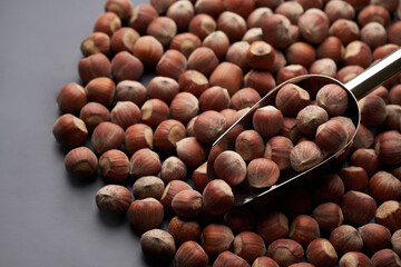 Whole hazelnuts nuts with shell close-up studio shot