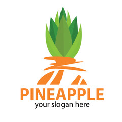 vector unfinished pineapple colored orange