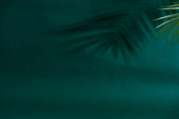 Empty green background with leaves shadow on the background, Advertising concept image
