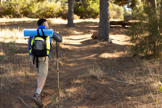 Biracial man wearing backpack and holding trekking pole, hiking in forest, with copy space