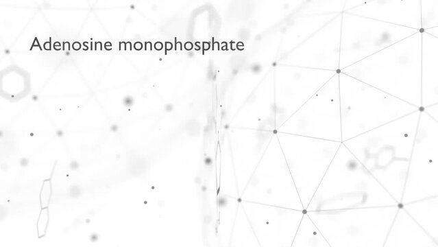 Adenosine monophosphate or AMP, adenylic acid molecule. Nucleotide monomer of RNA. Composed of phosphate, ribose and adenine moieties. Skeletal formula.