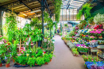 Paris flower market