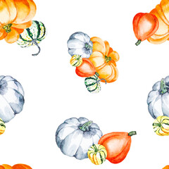 Pumpkins. Watercolor drawing of bright pumpkins. Seamless pattern with vegetables on a white background. Botanical illustration for your design