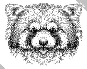 Vintage engraving isolated red panda set illustration ink sketch. Chinese bear background animal silhouette art. Black and white hand drawn vector image. © Turaev