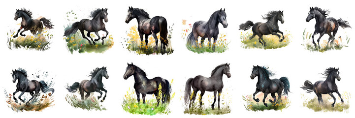  watercolor drawing horses on the meadow. 