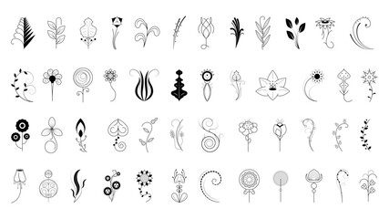 Big Abstract Set Doodle Elements Hand Drawn Collection Botanic Herbal Flora Leaf Branch Vine Flower Plant Elements F Vector Desgin Style