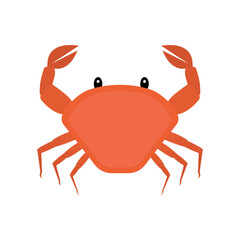 Cute red crab isolated on white background. Flat sea creature. Clip art of crustacean. Cartoon vector illustration