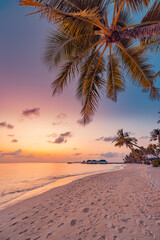 Paradise island palm trees sea sand beach. Panoramic beach travel landscape. Inspire tropical beach seascape horizon. Orange golden sunset sky calm tranquil relaxing summer vacation. Exotic holiday