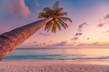 Lonely palm tree sea sand beach. Panoramic dream beach landscape. Inspire tropical seascape...