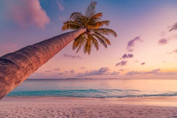 Foto auf Leinwand Lonely palm tree sea sand beach. Panoramic dream beach landscape. Inspire tropical seascape horizon. Orange and golden sunset sky calm tranquil relaxing summer vibes. Perfect wallpaper best background © icemanphotos