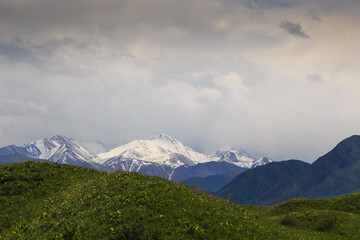 Beautiful spring and summer landscape. Lush green hills, high mountains. Spring blooming herbs....
