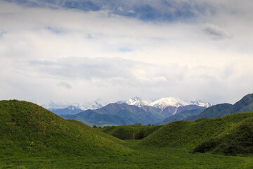Fototapeta na wymiar Beautiful spring and summer landscape. Lush green hills, high mountains. Spring blooming herbs. Kyrgyzstan