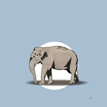 Walking Elelphant Vector Illustration, Minimal wildlife animal