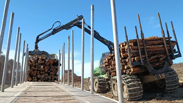 Carga de cami&oacute;n en explotaci&oacute;n maderera con troncos cortados y talados de pino para la industria de la madera