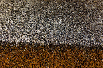 Texture of thatch roof for the background