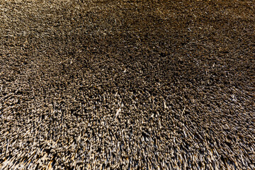 Texture of thatch roof for the background