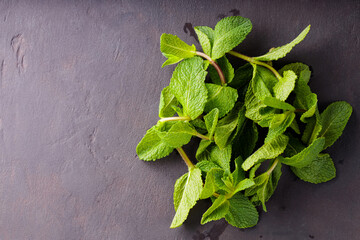 Fresh mint on a dark background. Ecology natural creative concept. Top view. Copy space
