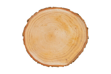 Cut tree trunk isolated on transparent background, top view.