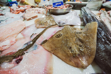 Closeup to Shark type ray or stingray. Both peeled and skin on. Exposed for sale in the market. Raw...