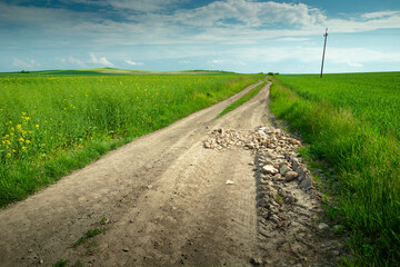 Obraz premium Stones on a rural road and green fields