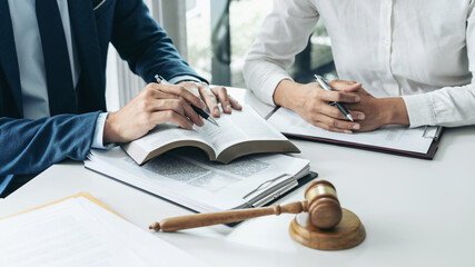 Male lawyer and professional businesswoman working and discussio