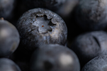 Macro blueberry in a bol