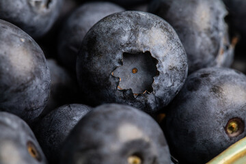 blueberries close up