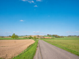 Fototapeta na wymiar country road in spring landscape of south limburg near margraten