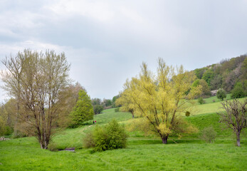 Fototapeta na wymiar gulpdal with hiking trail in spring near slenaken in south limburg