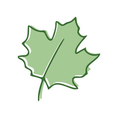 Maple Leaf flat icon isolated on white background. Vector illustration